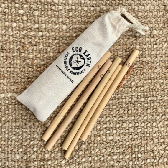 Bamboo Straws - set of 5