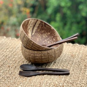 2 Coconut Bowls with cutlery