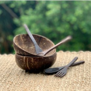 2 Coconut Bowls with cutlery