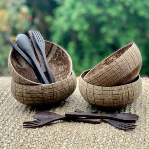 4 Coconut Bowls Combo with cutlery