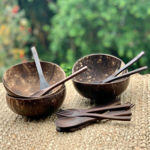 4 Coconut Bowls Combo with cutlery